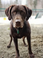 Marshall Crockett wants to say hi!